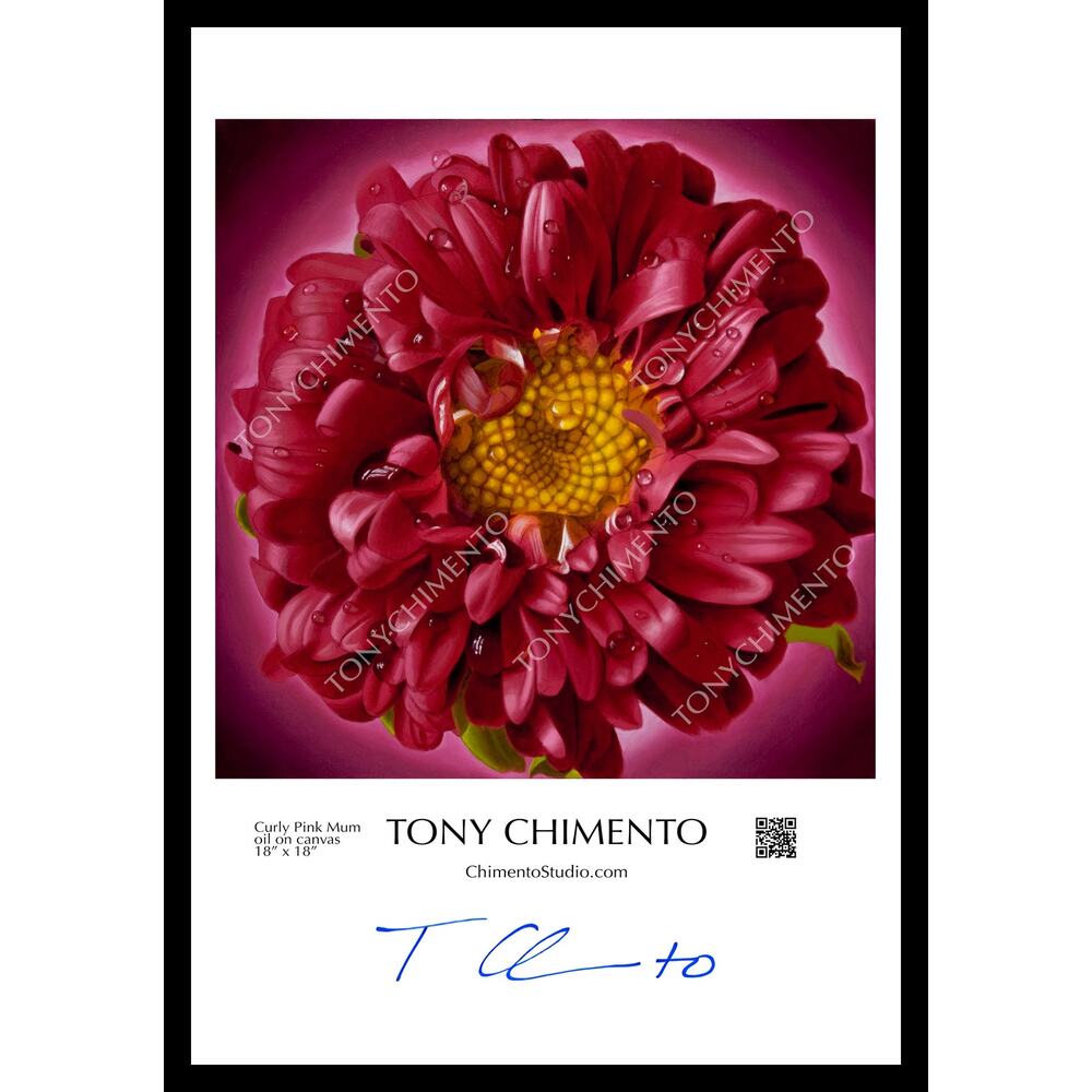 Curly Pink Mum by Tony Chimento Signed Art Poster 13"x19"